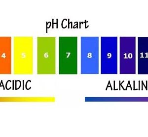 PH50